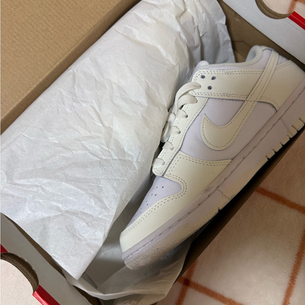 Nike Dunks